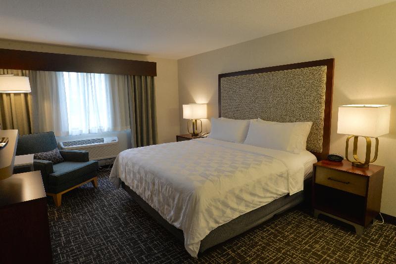 Holiday Inn Hotel and Suites Minneapolis Lakeville image