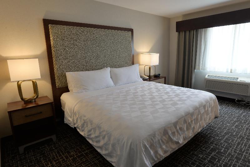 Holiday Inn Hotel and Suites Minneapolis Lakeville image