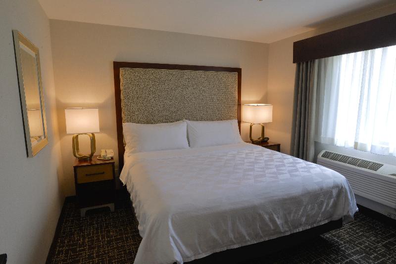 Holiday Inn Hotel and Suites Minneapolis Lakeville image