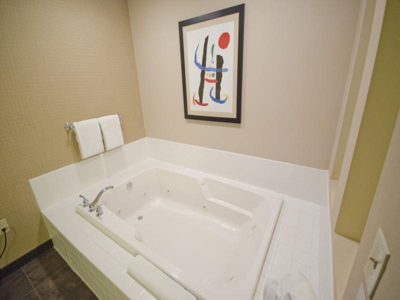 Holiday Inn&Suites St. Paul Ne - Lake Elmo By IHG image