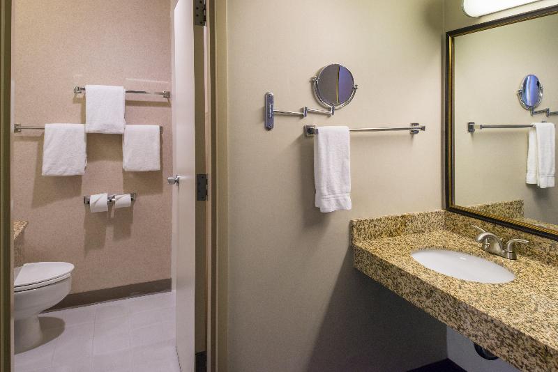Holiday Inn Dublin-Pleasanton photo 20