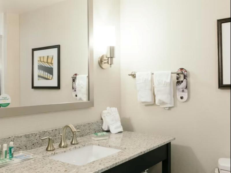 Holiday Inn & Suites East Peoria image