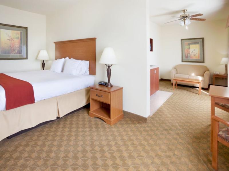 Holiday Inn Express & Suites Zapata By IHG image