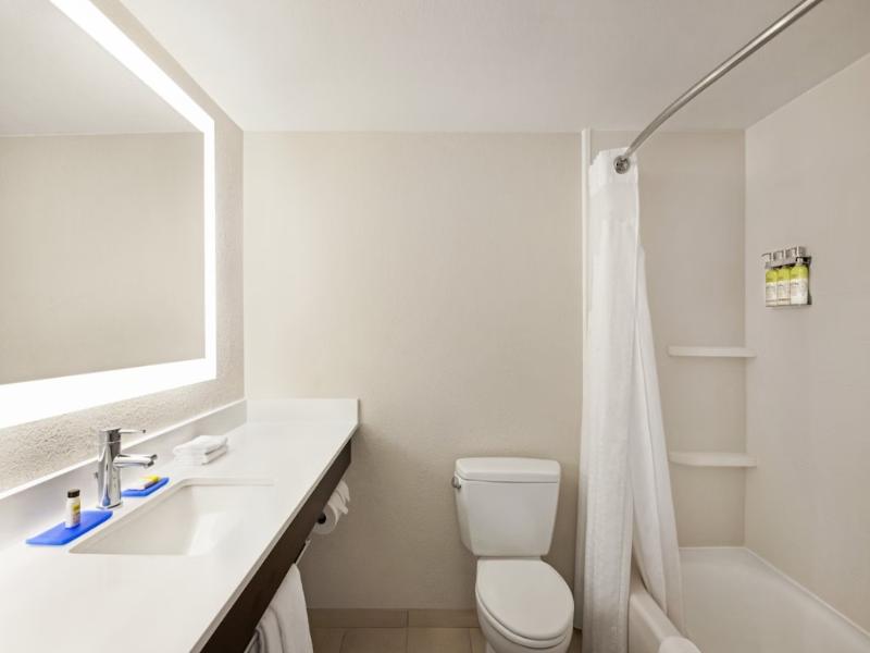 Holiday Inn Express and Suites Sarasota East I 75 image