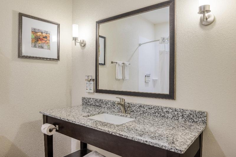 Holiday Inn Express and Suites Edwardsville photo 14