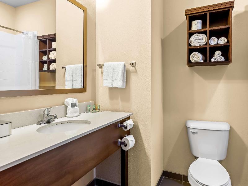 Bw St. Louis Airport North Hotel & Suites image