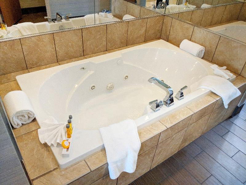 Holiday Inn Purdue - Fort Wayne image
