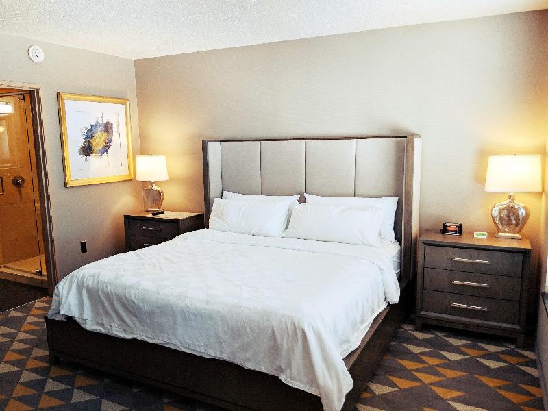 Holiday Inn Purdue - Fort Wayne image