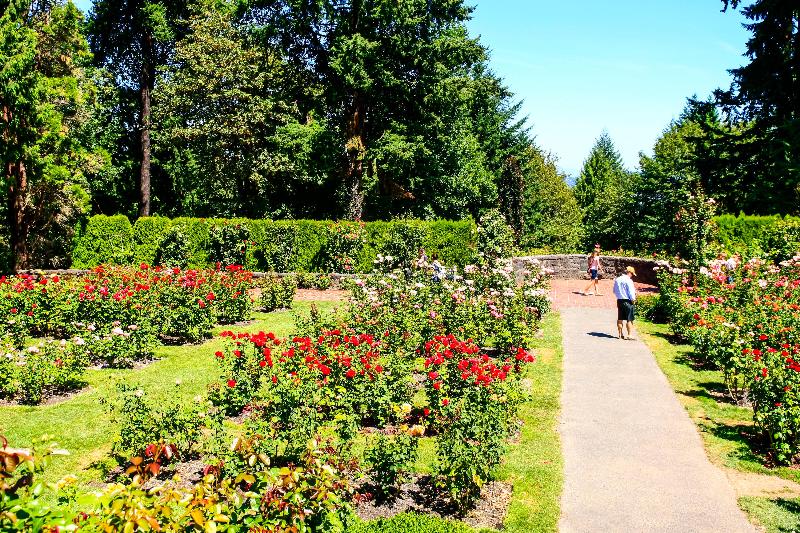 Holiday Inn Portland West Hillsboro