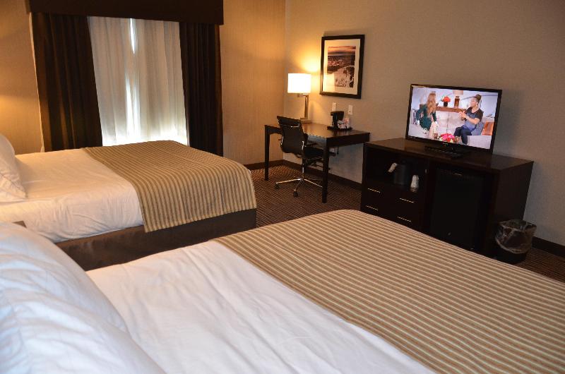 Holiday Inn Express Cheektowaga North East photo 9