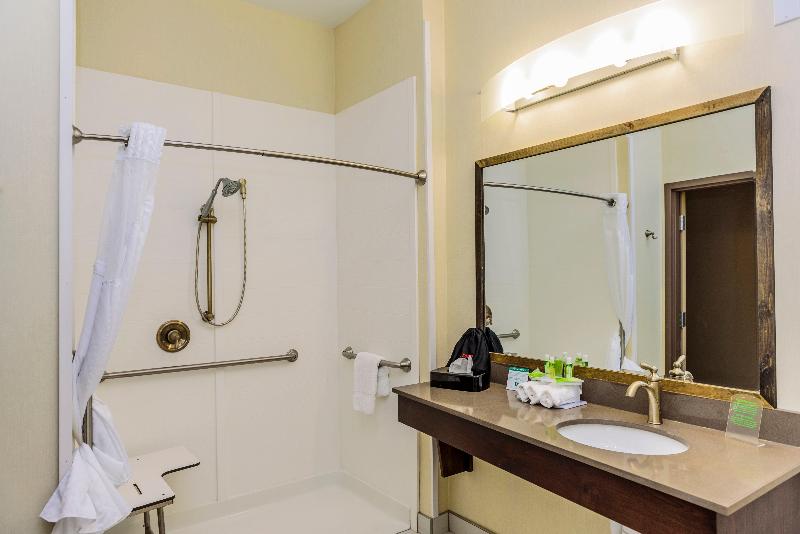 Holiday Inn Express Cheektowaga North East photo 14