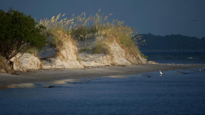 Holiday Inn Resort Jekyll Island By IHG image