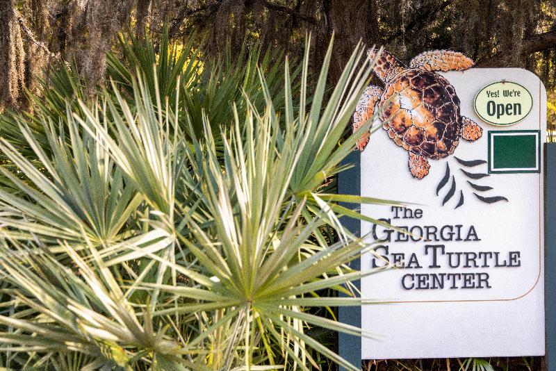 Holiday Inn Resort Jekyll Island By IHG image