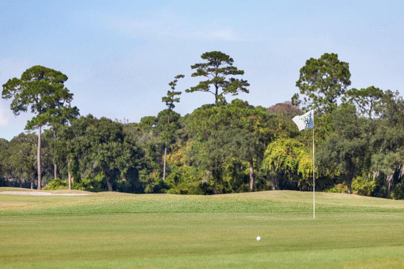 Holiday Inn Resort Jekyll Island By IHG image