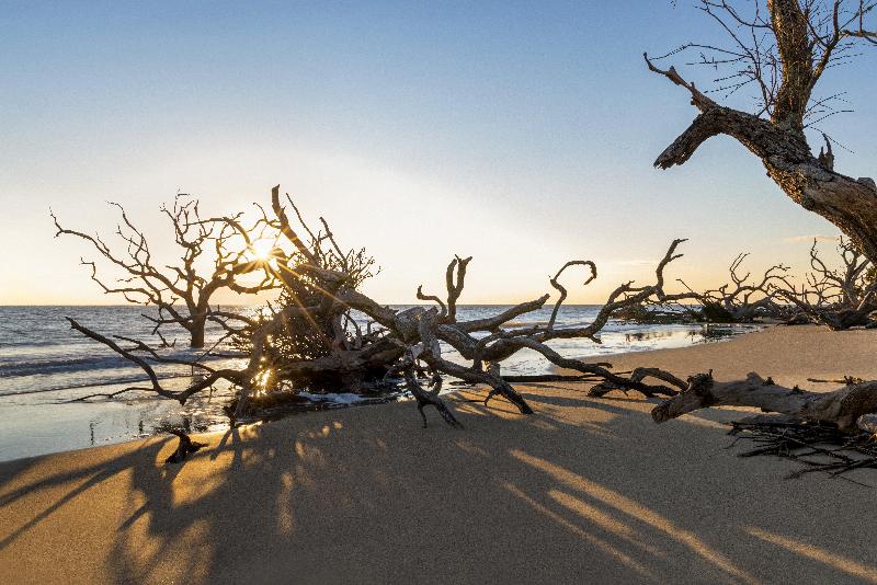 Holiday Inn Resort Jekyll Island By IHG image