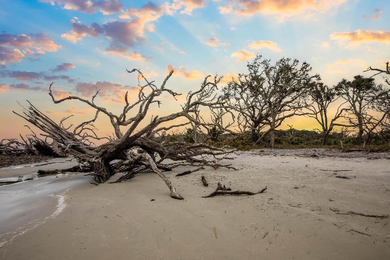 Holiday Inn Resort Jekyll Island By IHG image