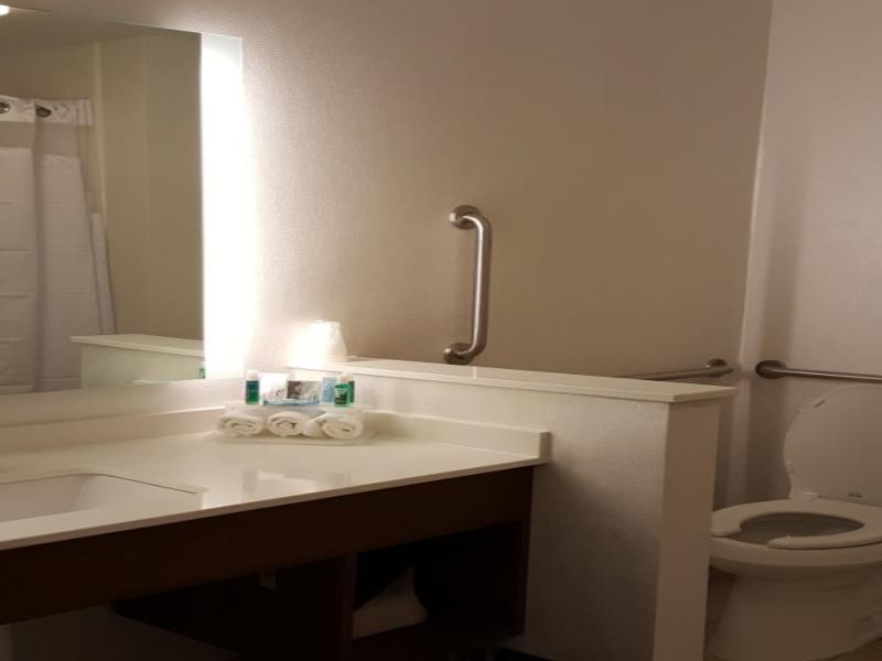 Holiday Inn Express and Suites Toledo West image