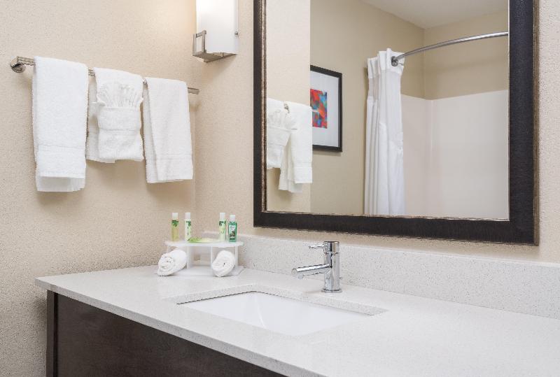 Hotel Holiday Inn Express and Suites Ames