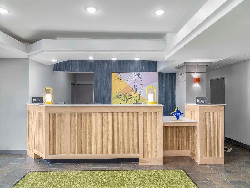 Spark by Hilton Lansing