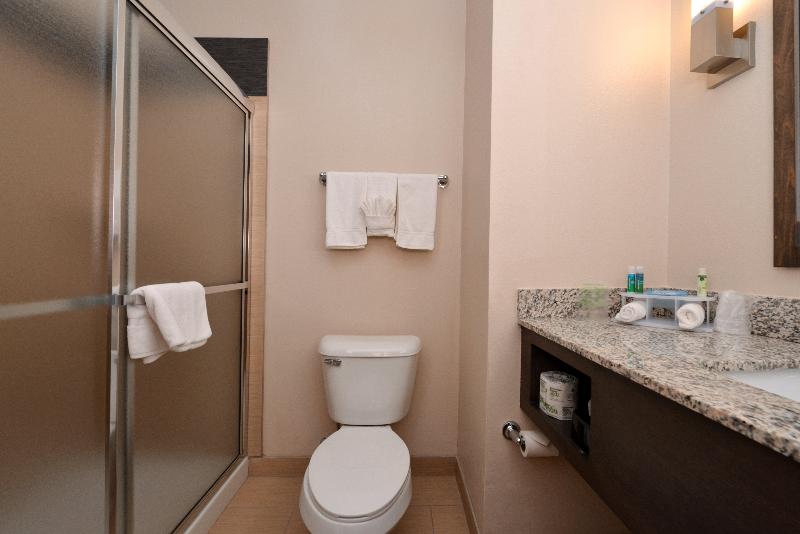Holiday Inn Express & Suites Globe By IHG photo 24