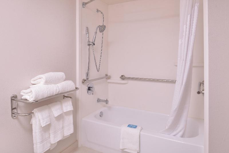 Holiday Inn Express & Suites Mesquite image