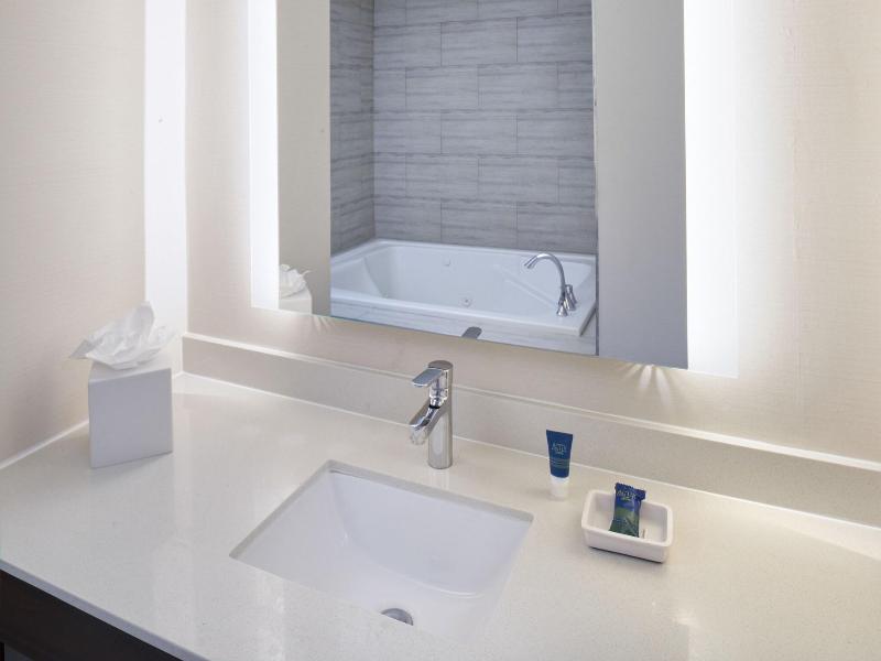 Four Points by Sheraton Detroit Novi image