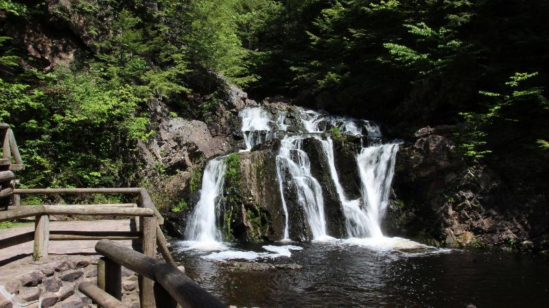 Holiday Inn Express and Suites Brattleboro