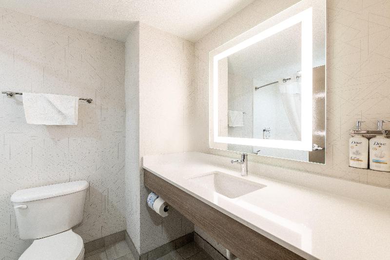 Holiday Inn Express and Suites Sylva Western Carol image
