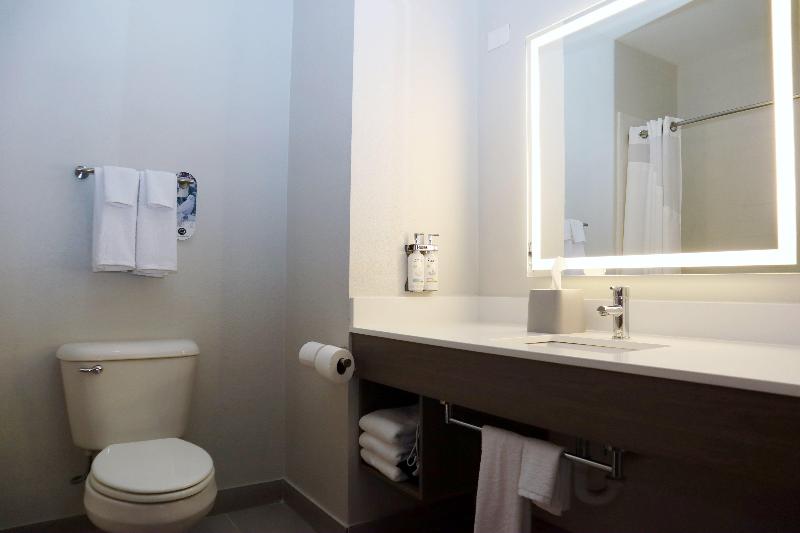 Holiday Inn Express and Suites Baton Rouge North image