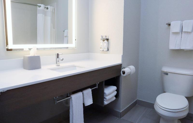Holiday Inn Express and Suites Baton Rouge North image