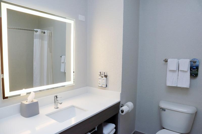 Holiday Inn Express and Suites Baton Rouge North image