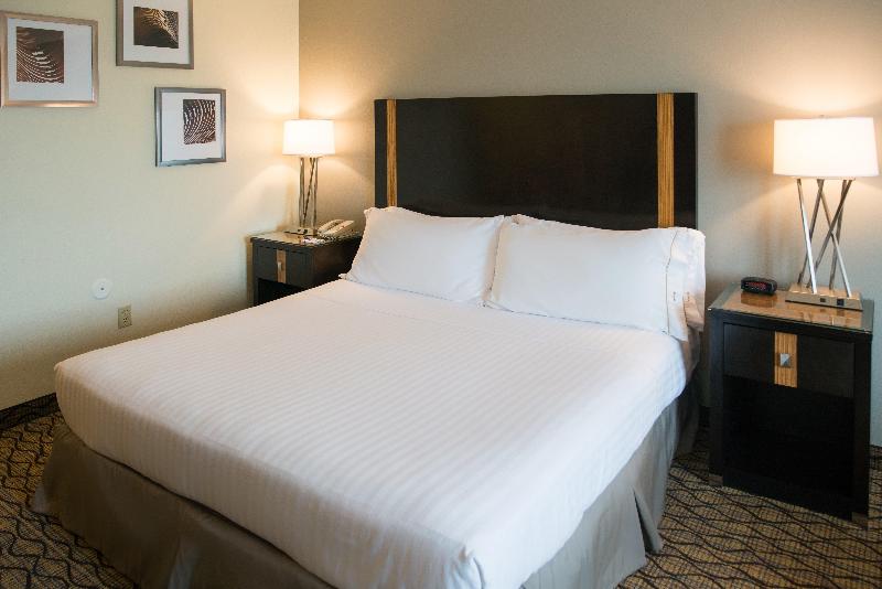 Holiday Inn Express and Suites Chanhassen photo 22
