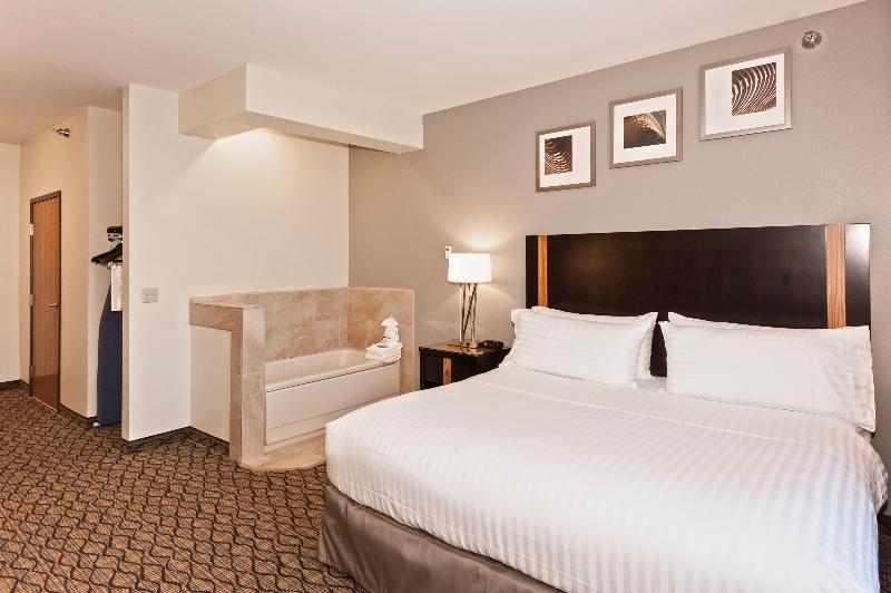 Holiday Inn Express and Suites Chanhassen photo 24