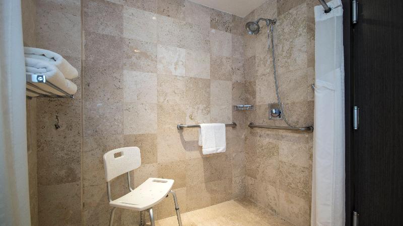 Holiday Inn Express and Suites Queretaro photo 24