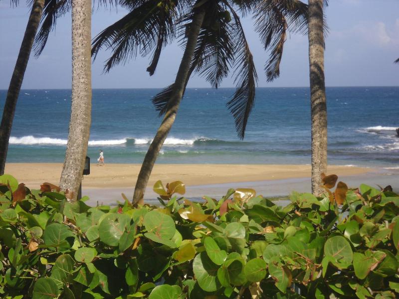 Parador Villas Del Mar Hau image
