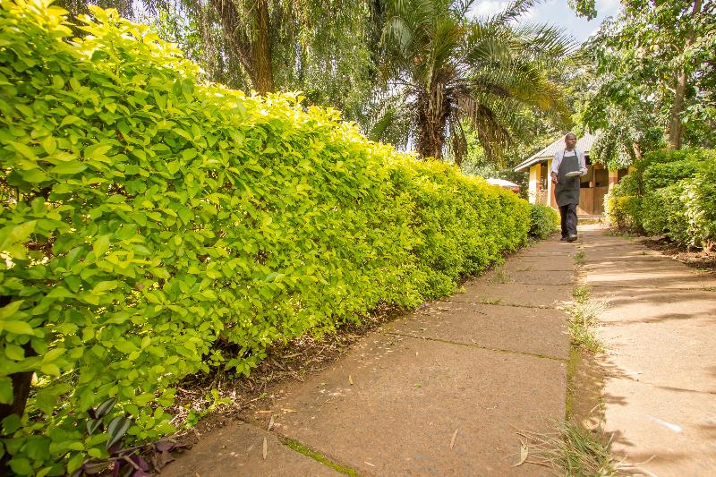 Engo Airport Resort Kitale