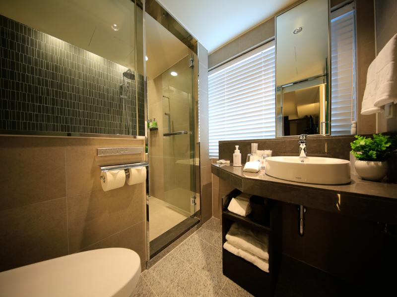 Solaria Nishitetsu Hotel Seoul Myeong-Dong image