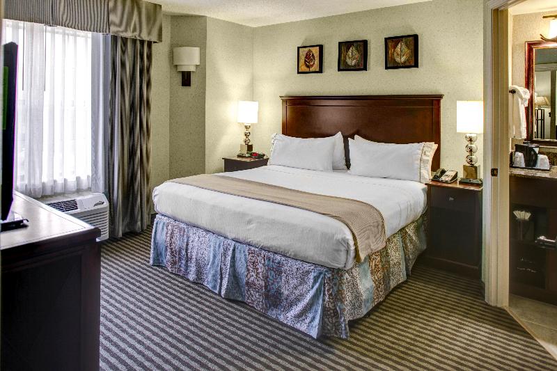 Holiday Inn Express and Suites Atlanta Buckhead image