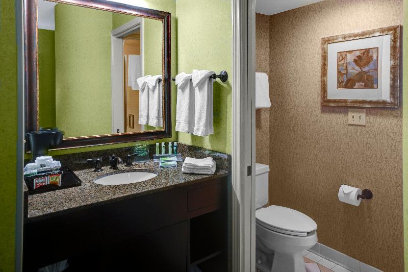 Holiday Inn Express and Suites Atlanta Buckhead image