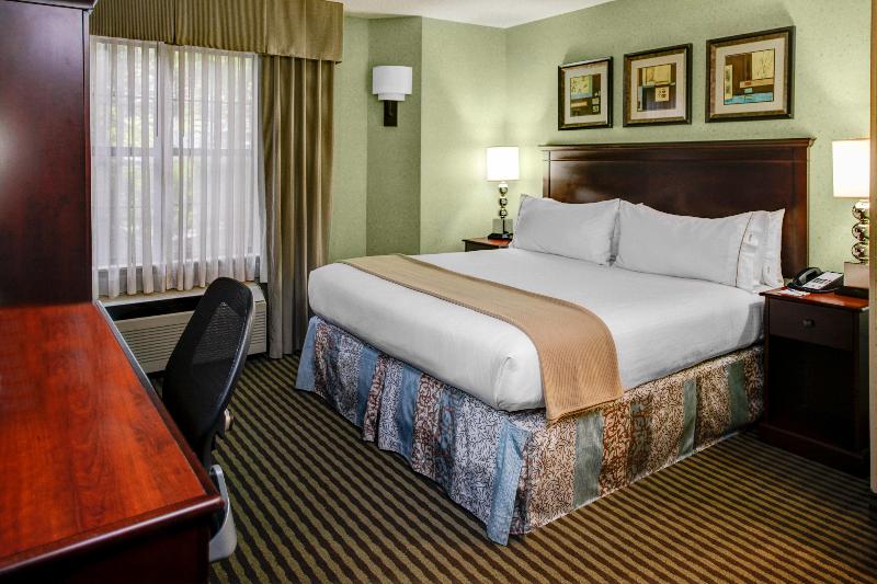 Holiday Inn Express and Suites Atlanta Buckhead image