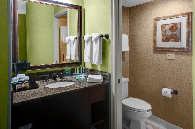 Holiday Inn Express and Suites Atlanta Buckhead image