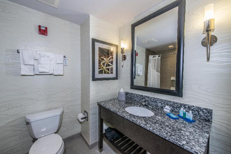 Holiday Inn Express and Suites Charleston Arpt Con image
