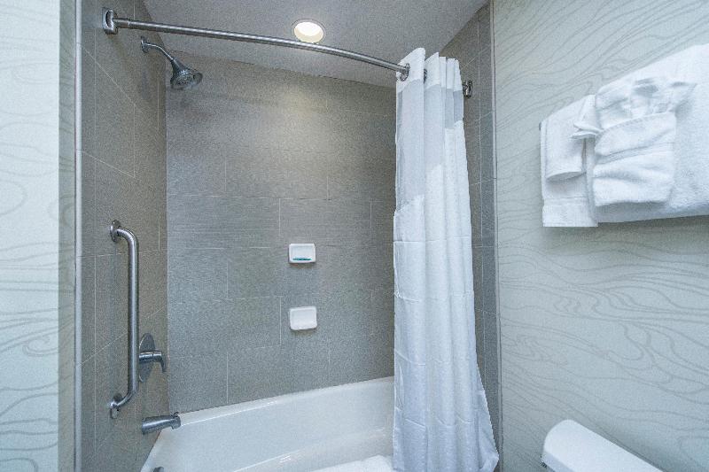 Holiday Inn Express and Suites Charleston Arpt Con image