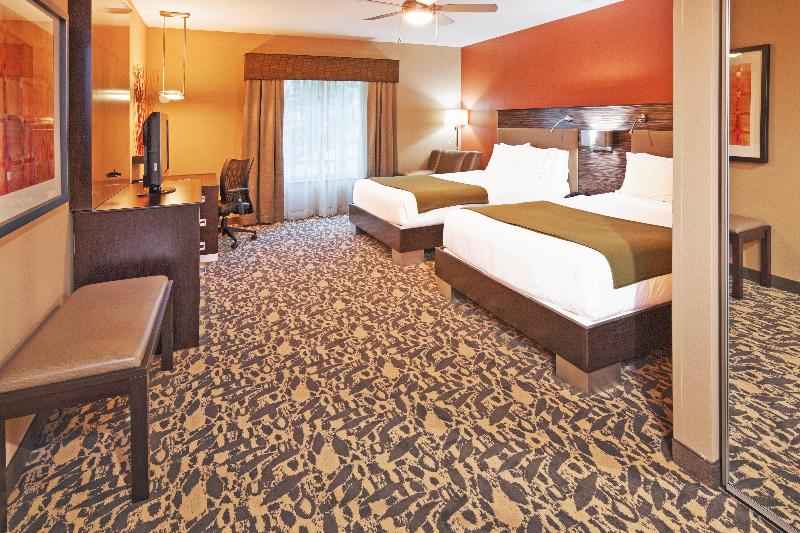 Holiday Inn Express and Suites North Dallas at Pre photo 18