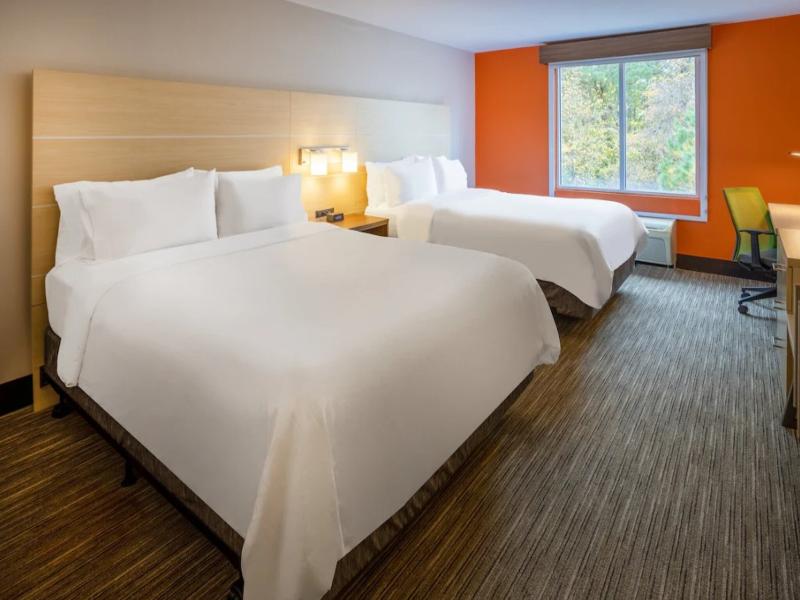Holiday Inn Express and Suites Salisbury Delmar image