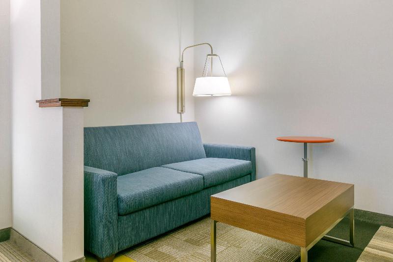 Holiday Inn Express and Suites Mount Arlington Roc image