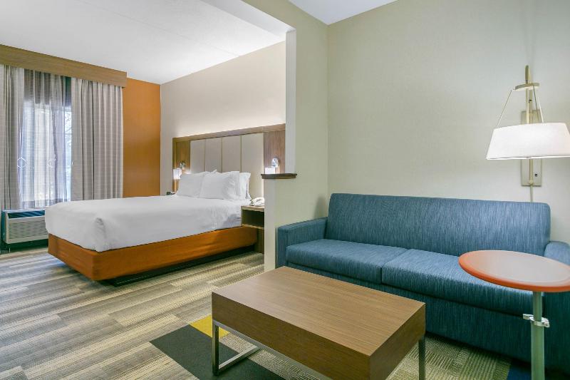 Holiday Inn Express and Suites Mount Arlington Roc image
