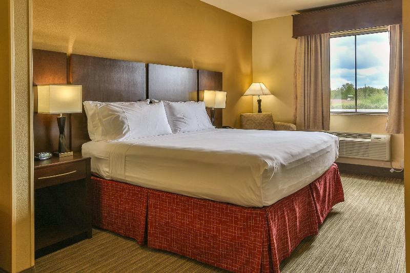 Holiday Inn Express and Suites Houston South Pearl image