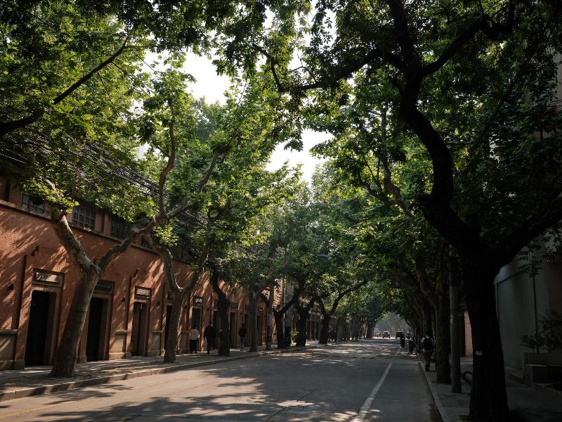 Capella Shanghai Jian Ye Li image