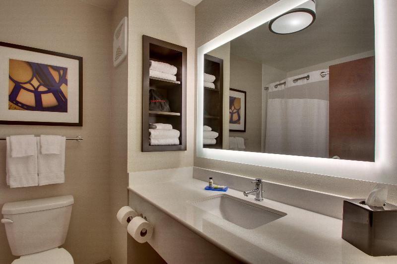 Holiday Inn Express and Suites Lancaster East Stra image
